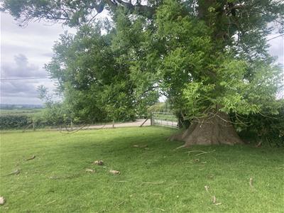 Picture 13